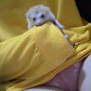 ヒメ日記 2025/10/18 23:31 投稿 ちか 東京♂風俗の神様 町田・相模原店