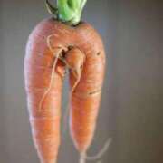 ヒメ日記 2025/11/08 16:31 投稿 藤井 鶯谷人妻城