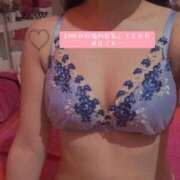 ヒメ日記 2025/12/15 00:30 投稿 もあ べっぴんコレクション