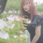 ヒメ日記 2026/03/26 17:27 投稿 柊（ひいらぎ） 熟女の風俗最終章 大宮店