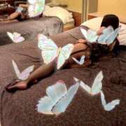 ヒメ日記 2025/10/30 16:38 投稿 なつき 厚木人妻城