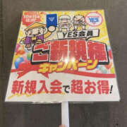 ヒメ日記 2025/11/02 09:12 投稿 桃山らん YESグループ水戸　華女