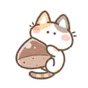 ヒメ日記 2025/11/08 02:31 投稿 ひばり★久保史緒里似の元モデル Chloe鶯谷・上野店 S級素人清楚系デリヘル