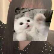 ヒメ日記 2026/07/14 23:27 投稿 ひばり★久保史緒里似の元モデル Chloe鶯谷・上野店 S級素人清楚系デリヘル