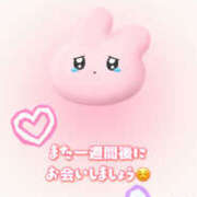 ヒメ日記 2025/11/07 08:08 投稿 せい さくらん