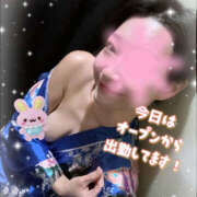 ヒメ日記 2025/11/23 12:21 投稿 せい さくらん