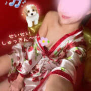 ヒメ日記 2025/11/24 12:16 投稿 せい さくらん