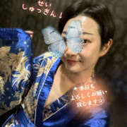 ヒメ日記 2025/11/29 12:08 投稿 せい さくらん