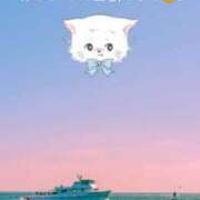 ヒメ日記 2025/12/20 09:59 投稿 せい さくらん