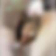 ヒメ日記 2026/03/19 17:26 投稿 せい さくらん