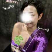 ヒメ日記 2026/03/28 12:16 投稿 せい さくらん