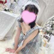 ヒメ日記 2025/11/09 11:19 投稿 やよい The White