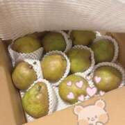 ヒメ日記 2025/11/11 19:13 投稿 やよい The White