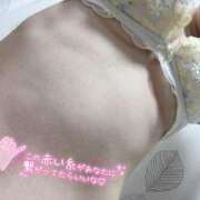 ヒメ日記 2025/11/25 00:32 投稿 やよい The White