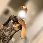 ヒメ日記 2025/10/21 17:33 投稿 あん The White