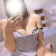 ヒメ日記 2025/11/04 12:14 投稿 あん The White