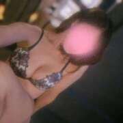 ヒメ日記 2025/11/14 06:09 投稿 あん The White