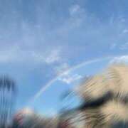 ヒメ日記 2025/11/19 19:59 投稿 あん The White