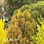 ヒメ日記 2025/11/14 22:50 投稿 大空なお ミセス大阪十三店