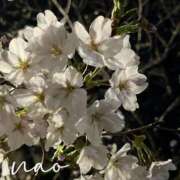 ヒメ日記 2026/03/27 21:55 投稿 大空なお ミセス大阪十三店