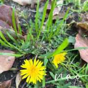 ヒメ日記 2026/04/12 22:31 投稿 大空なお ミセス大阪十三店