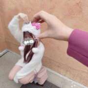 ちこ 本日♡最終日 チューリップ福井本館