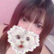 ヒメ日記 2025/11/05 22:15 投稿 はな 群馬伊勢崎ちゃんこ