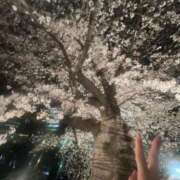 ヒメ日記 2026/04/04 23:44 投稿 柚希(ユズキ)【艶香漂う華】 美魔女コレクション別府店