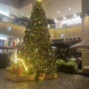 ヒメ日記 2025/12/15 17:00 投稿 あやの 性腺熟女100％（デリヘル市場）