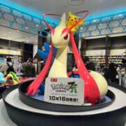 ヒメ日記 2025/11/22 16:46 投稿 とじ あふたーすくーる本店