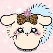 とじ 16時まで🎀 あふたーすくーる本店