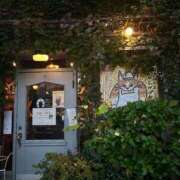 ヒメ日記 2025/12/17 10:10 投稿 とじ あふたーすくーる本店