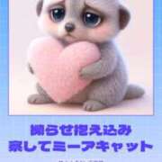 ヒメ日記 2025/12/27 10:30 投稿 とじ あふたーすくーる本店