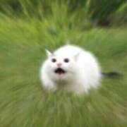 ヒメ日記 2026/01/10 17:19 投稿 とじ あふたーすくーる本店