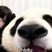 ヒメ日記 2026/01/18 10:32 投稿 とじ あふたーすくーる本店