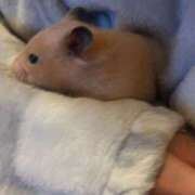 ヒメ日記 2026/02/04 08:25 投稿 とじ あふたーすくーる本店