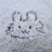 ヒメ日記 2026/02/11 17:29 投稿 とじ あふたーすくーる本店