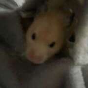 ヒメ日記 2026/02/15 10:32 投稿 とじ あふたーすくーる本店