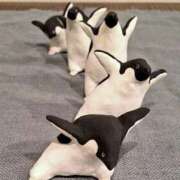 ヒメ日記 2026/02/21 17:10 投稿 とじ あふたーすくーる本店