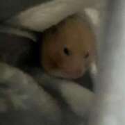 ヒメ日記 2026/02/22 18:58 投稿 とじ あふたーすくーる本店