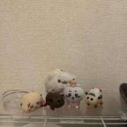 ヒメ日記 2026/03/15 08:52 投稿 とじ あふたーすくーる本店