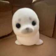 ヒメ日記 2026/03/22 17:02 投稿 とじ あふたーすくーる本店