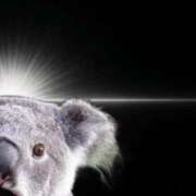 ヒメ日記 2026/04/09 22:01 投稿 とじ あふたーすくーる本店