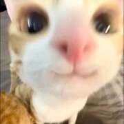 ヒメ日記 2026/04/28 10:21 投稿 とじ あふたーすくーる本店