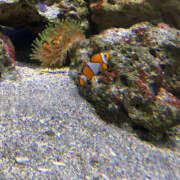 ヒメ日記 2025/10/17 11:33 投稿 ぽぽ ハピネス東京