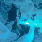 ヒメ日記 2025/10/23 15:07 投稿 ぽぽ ハピネス東京