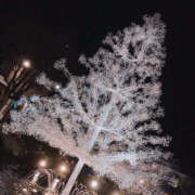 ヒメ日記 2025/11/06 08:07 投稿 ぽぽ ハピネス東京