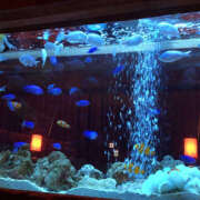 ヒメ日記 2025/11/17 07:07 投稿 ぽぽ ハピネス東京