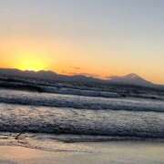 ぽぽ 今日はTなの ハピネス東京