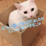 ヒメ日記 2025/12/31 21:18 投稿 ももな 即プレイ専門店　性の極み　福島店